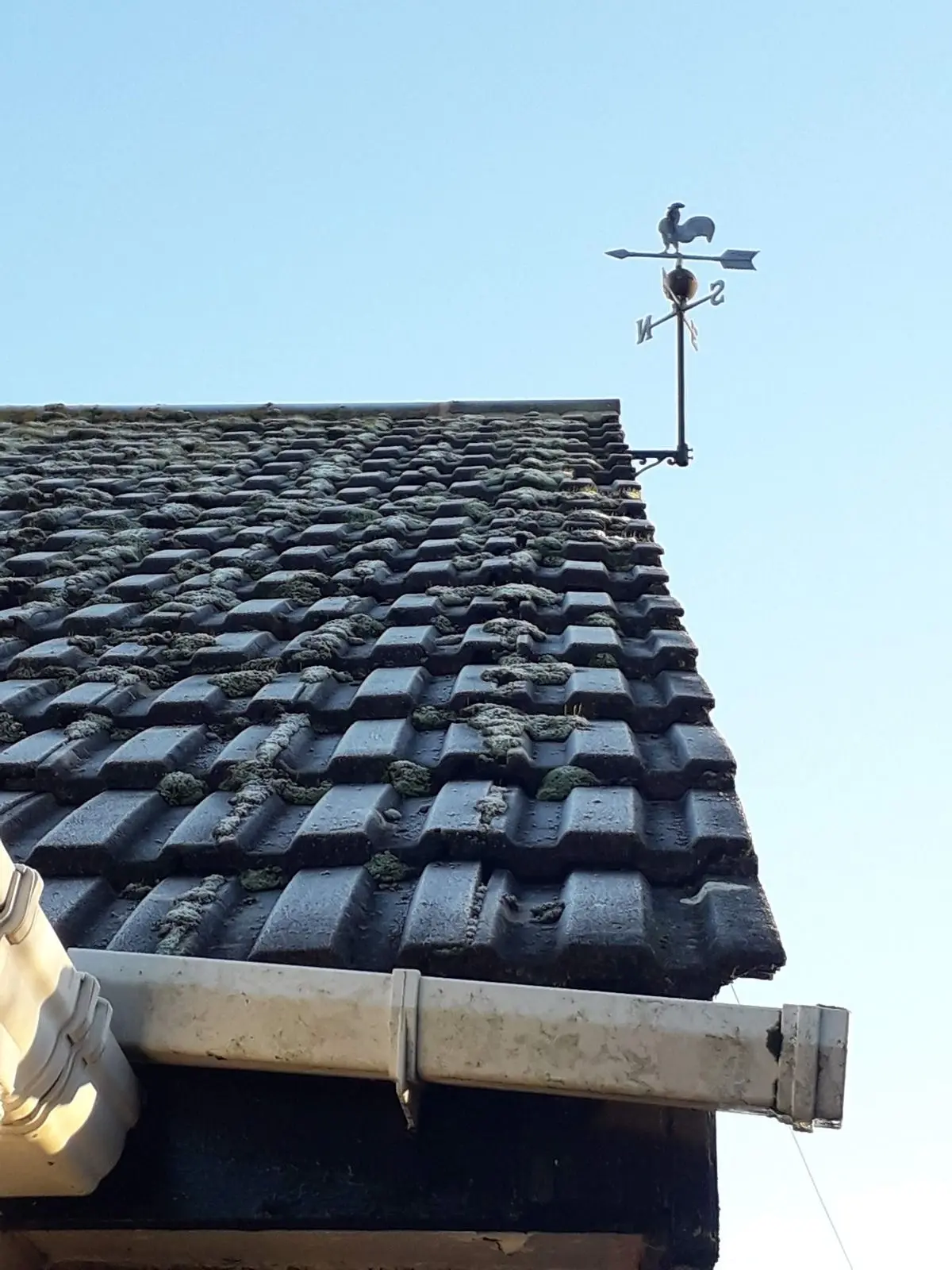 Moss-covered tiled roof with a weathervane and guttering against a clear sky